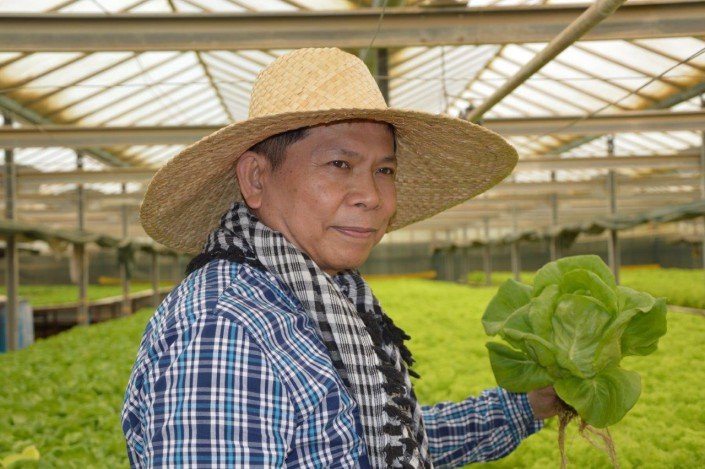 Managing greenhouse hydroponics in Al Kharj, Saudi Arabia