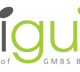 GMBS - FlexiGuide logo